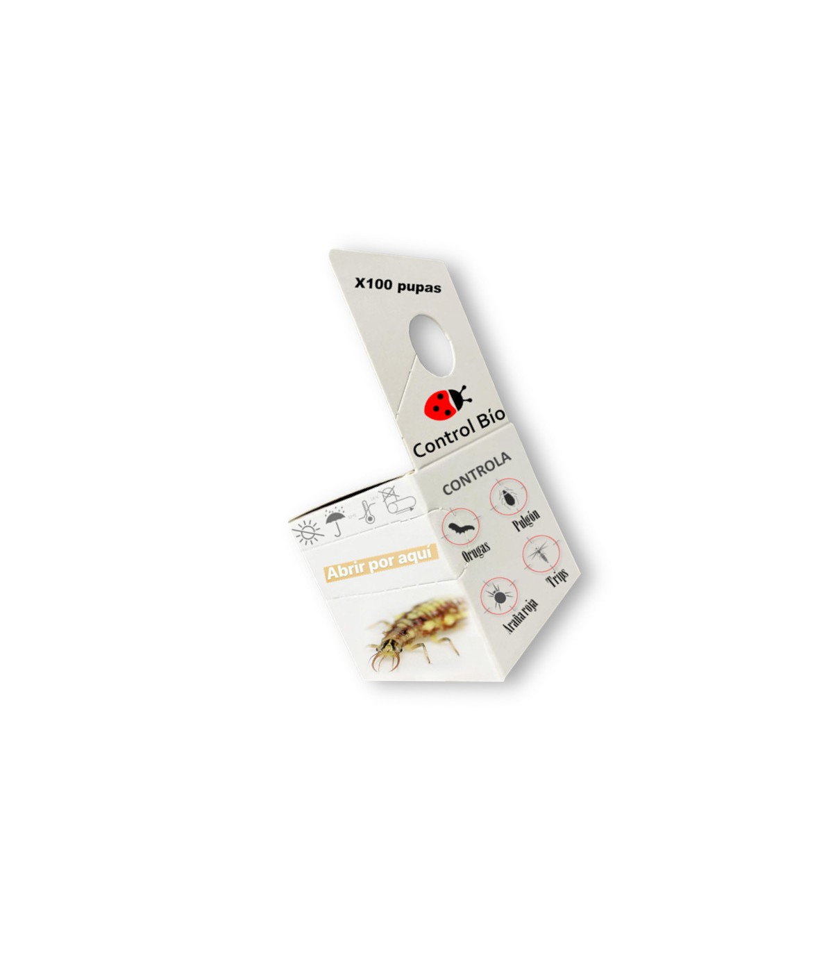 Crisopa CBi 100 pupas anti pulgones