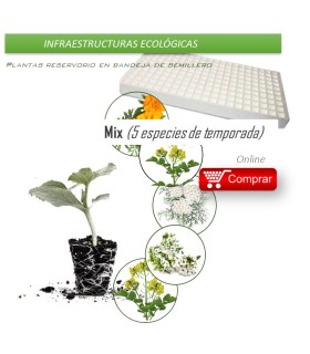 MIX CONSERVATIVO, biodiversidad de plantas insectarias x 104 ud.