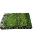 MIX CONSERVATIVO, biodiversidad de plantas insectarias x 104 ud.
