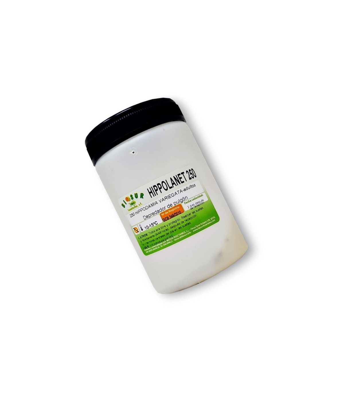 HIPPOLANET 250 Hippodamia mariquita depredadorea de pulgones