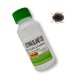 Scymnus nubilus depredador de pulgones y cochinillas