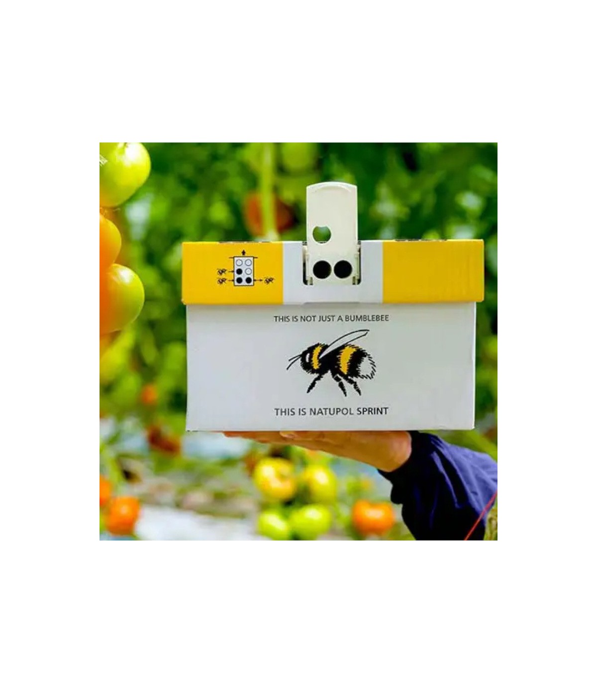 NATUPOL SPRINT polinizar cuando hace calor