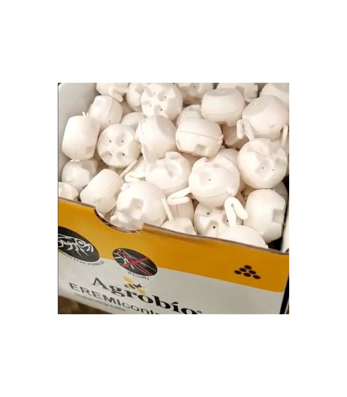 EREMIcontrol 15.000 ball dispensers contra mosca blanca