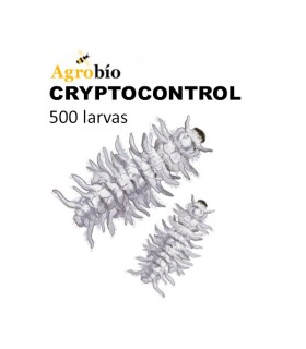 CRYPTOCONTROL 500 larvas depredadoras de cochinilla algodonosa