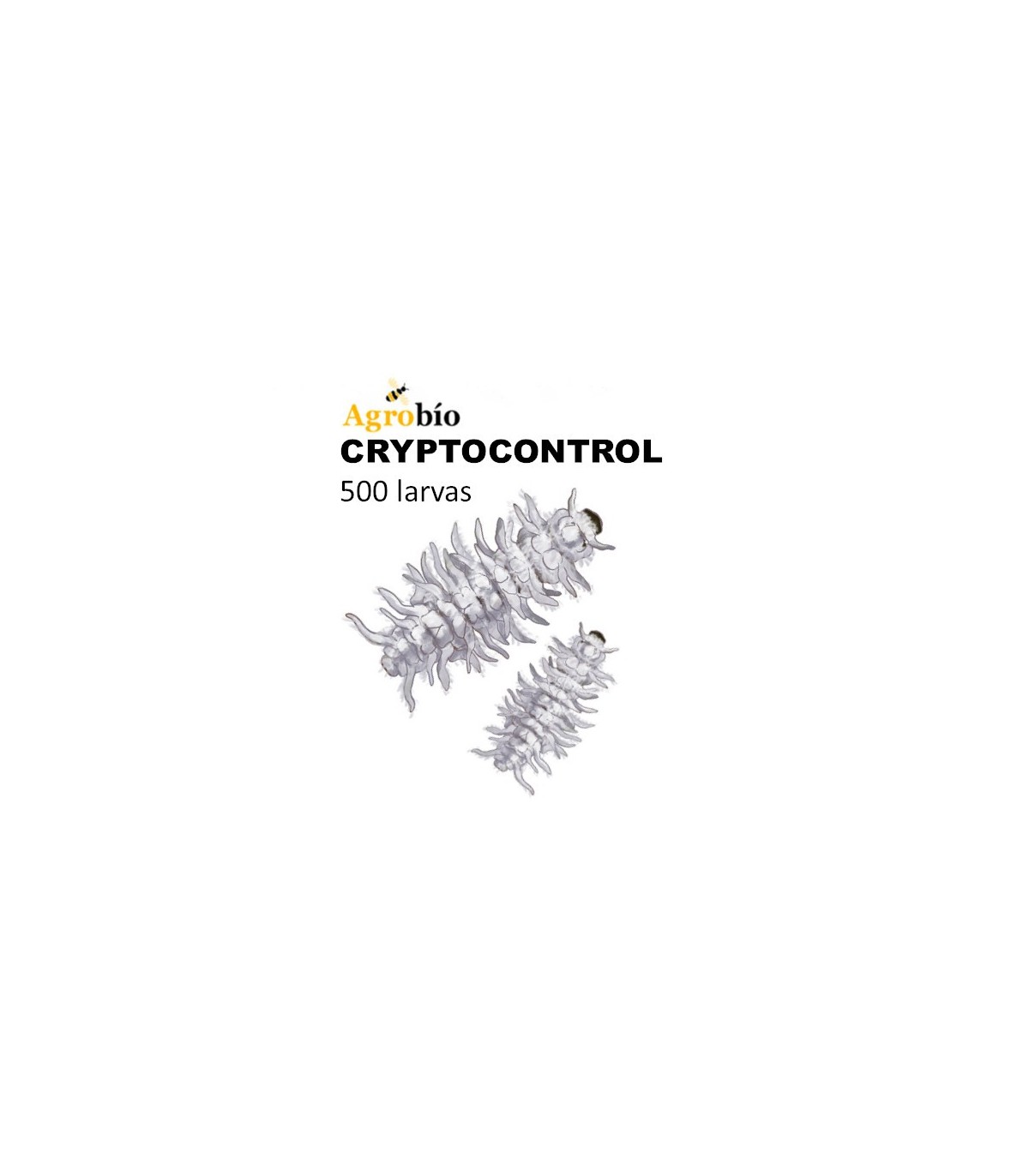 CRYPTOCONTROL 500 larvas depredadoras de cochinilla algodonosa