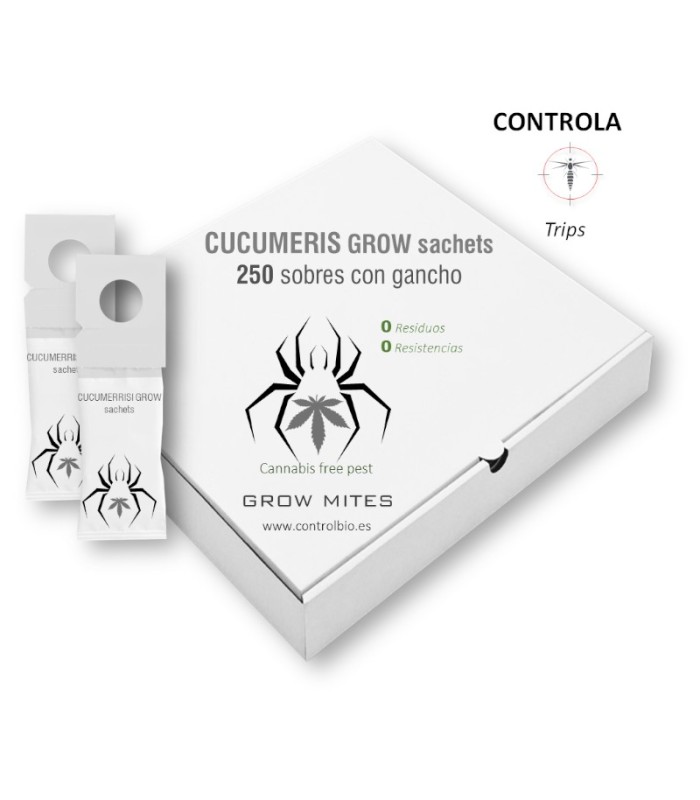 CUCUMERIS GROW-BAGS preventivo de trips