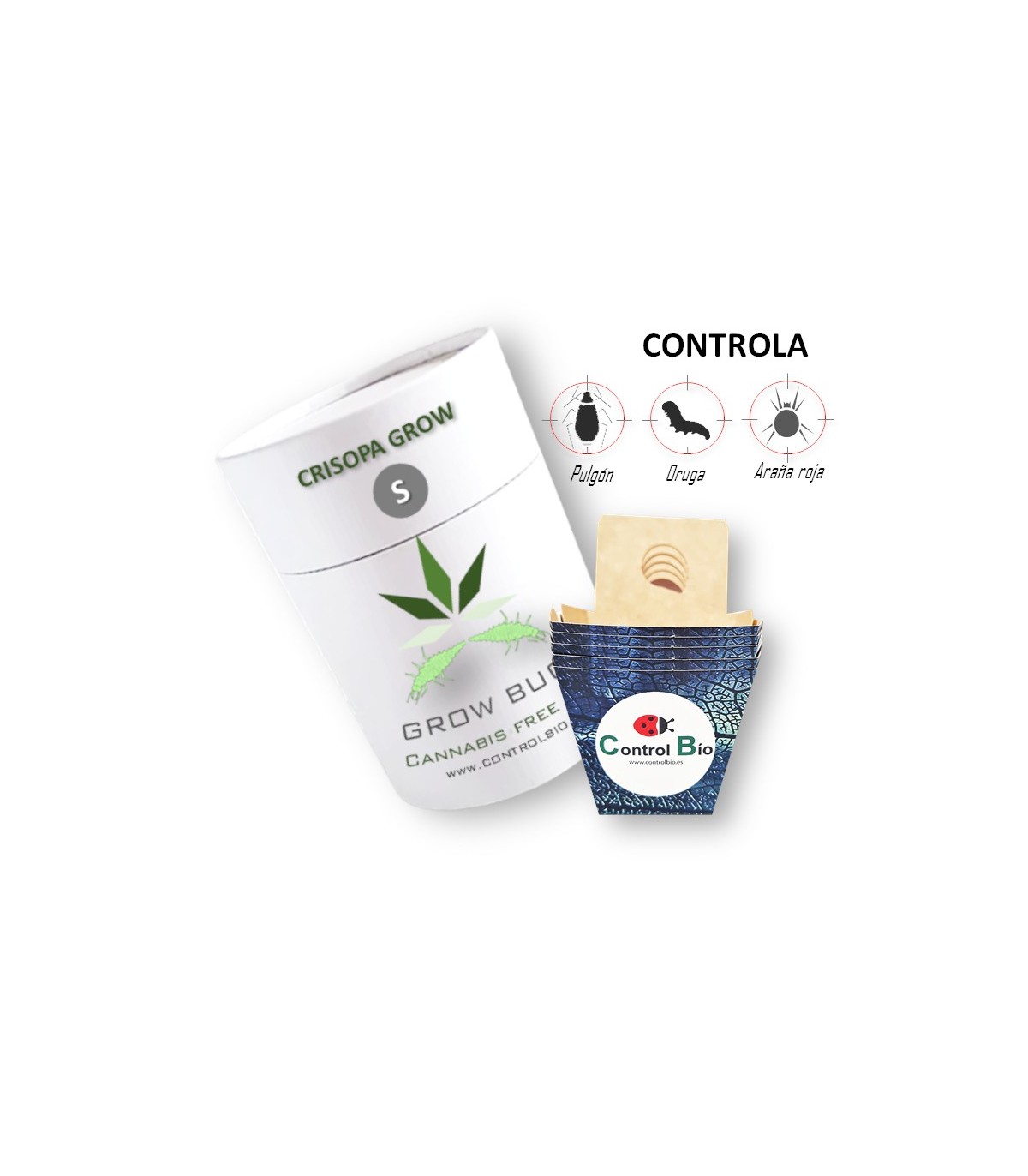 CRISOPA GROW depredador de pulgón