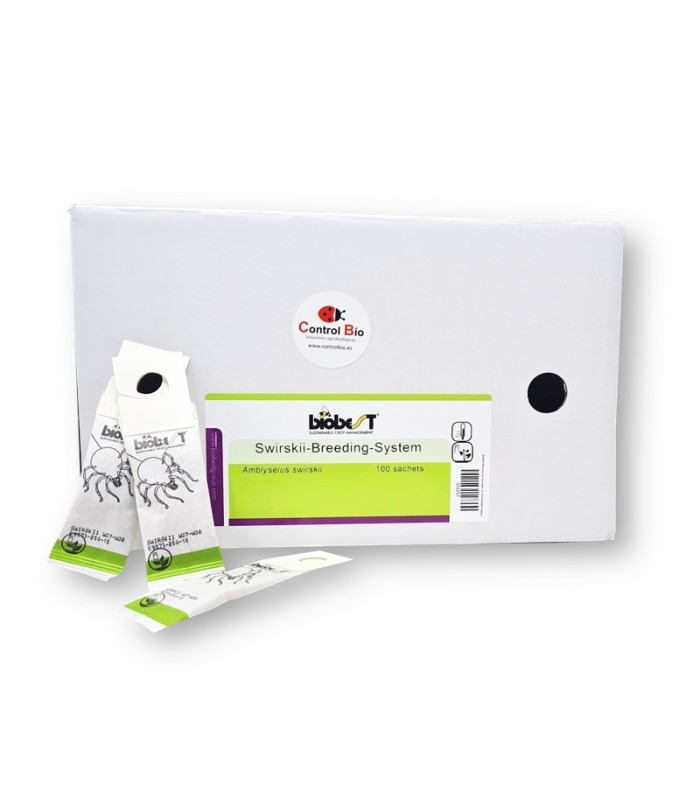 Swirskii-Breeding-System x 100 sobres