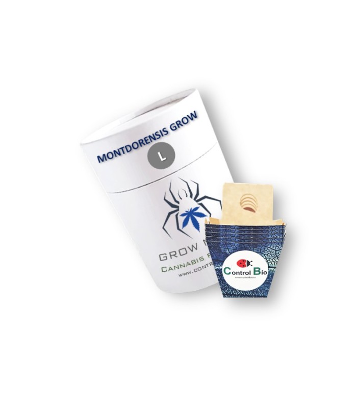 MONTDORENSIS GROW  depredador de mosca blanca y trips