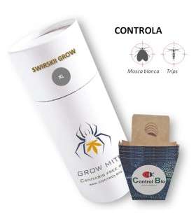 SWIRSKII GROW  depredador de trips y mosca blanca