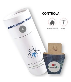 MONTDORENSIS GROW  depredador de mosca blanca y trips