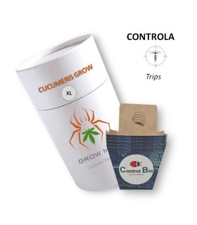 CUCUMERIS GROW depredador de trips