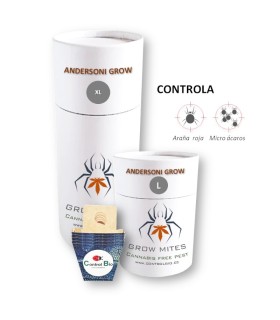 ANDERSONI GROW  depredador de araña roja y micro ácaro
