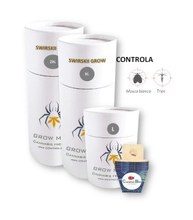 SWIRSKII GROW  depredador de trips y mosca blanca