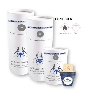 MONTDORENSIS GROW  depredador de mosca blanca y trips