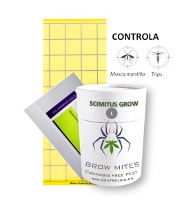 PACK GROW-L MOSCA DEL MANTILLO
