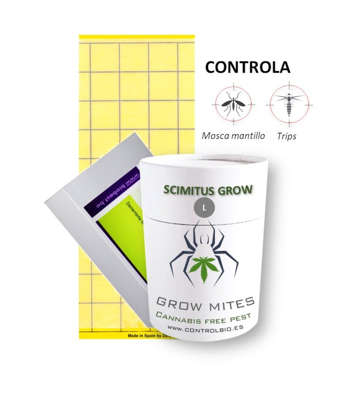 PACK GROW-L MOSCA DEL MANTILLO