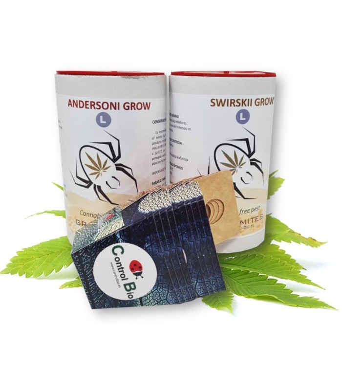 MIX GROW ARAÑA ROJA