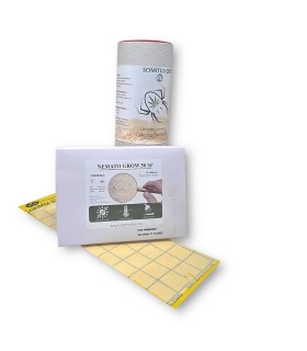 PACK GROW-XL MOSCA DEL MANTILLO poder curativo