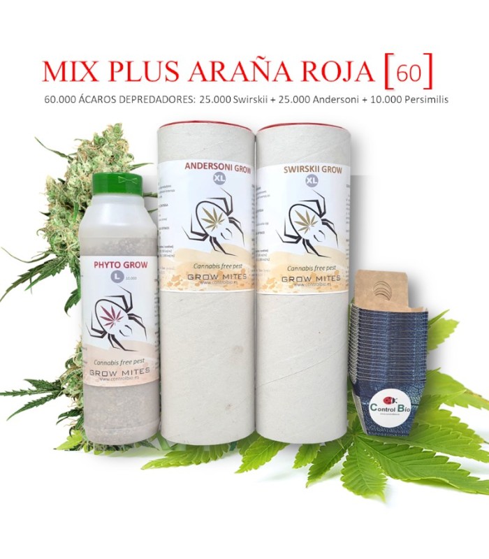 MIX PLUS [60] ARAÑA ROJA