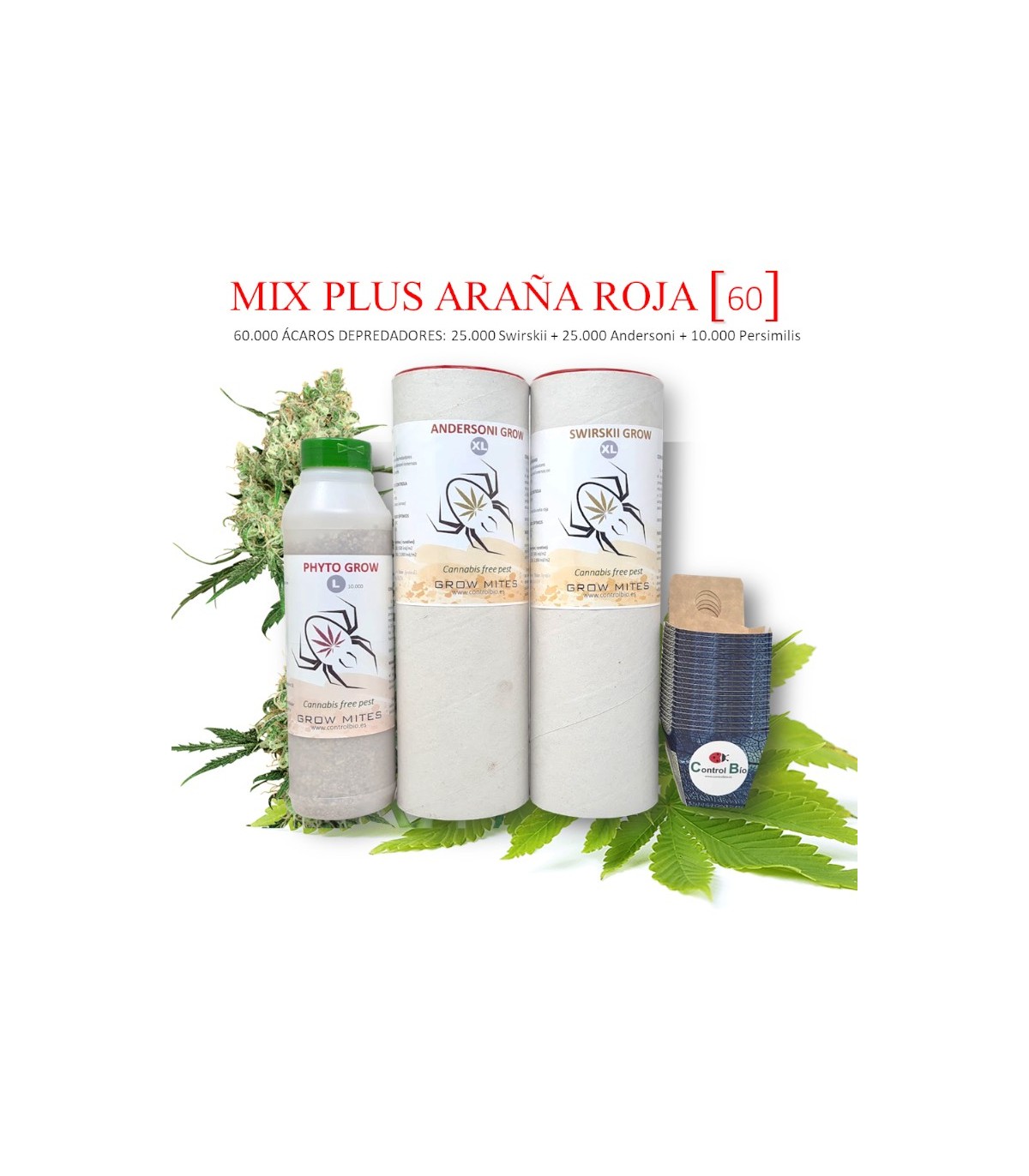 MIX PLUS [60] ARAÑA ROJA