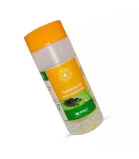 THRIPOR-M 1.000 Orius majusculus depredador generalista