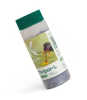 Thripor-L-2000 Orius laevigatus contra trips