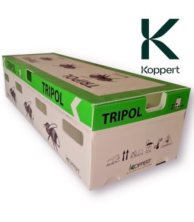 Colmena Koppert para frutales NATUPOL TRIO