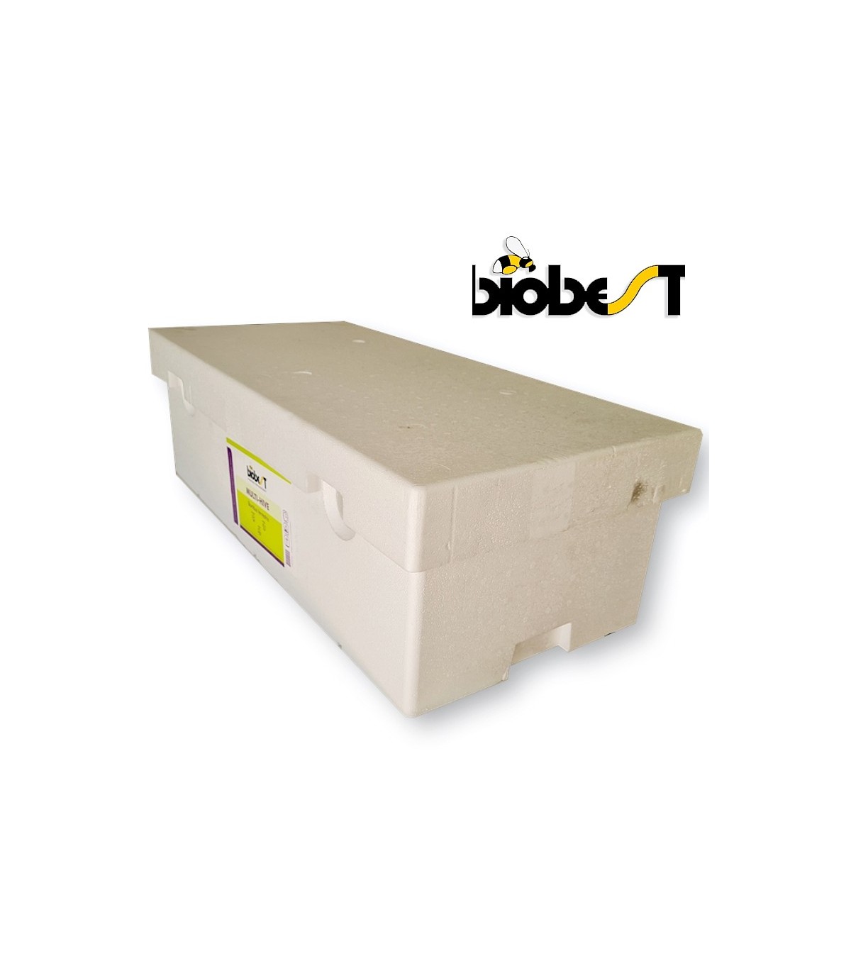 MULTI HIVE colmena triple de Biobest