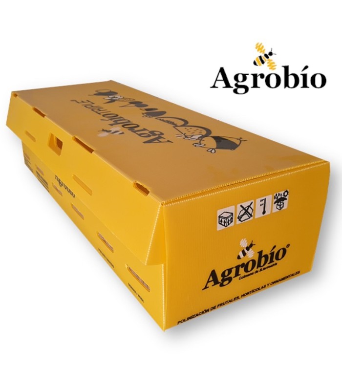 Colmena AGROBIO 3 nucleos para polinización de frutales