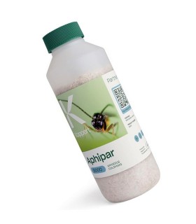 APHIPAR 5000 Aphidius colemani para control de pulgón
