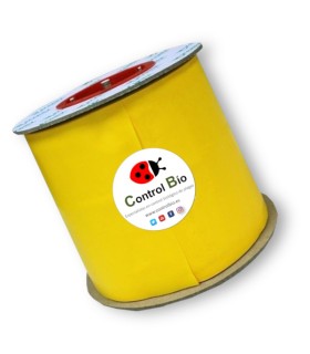 ROLLO amarillo 15x100 Trampa cromática