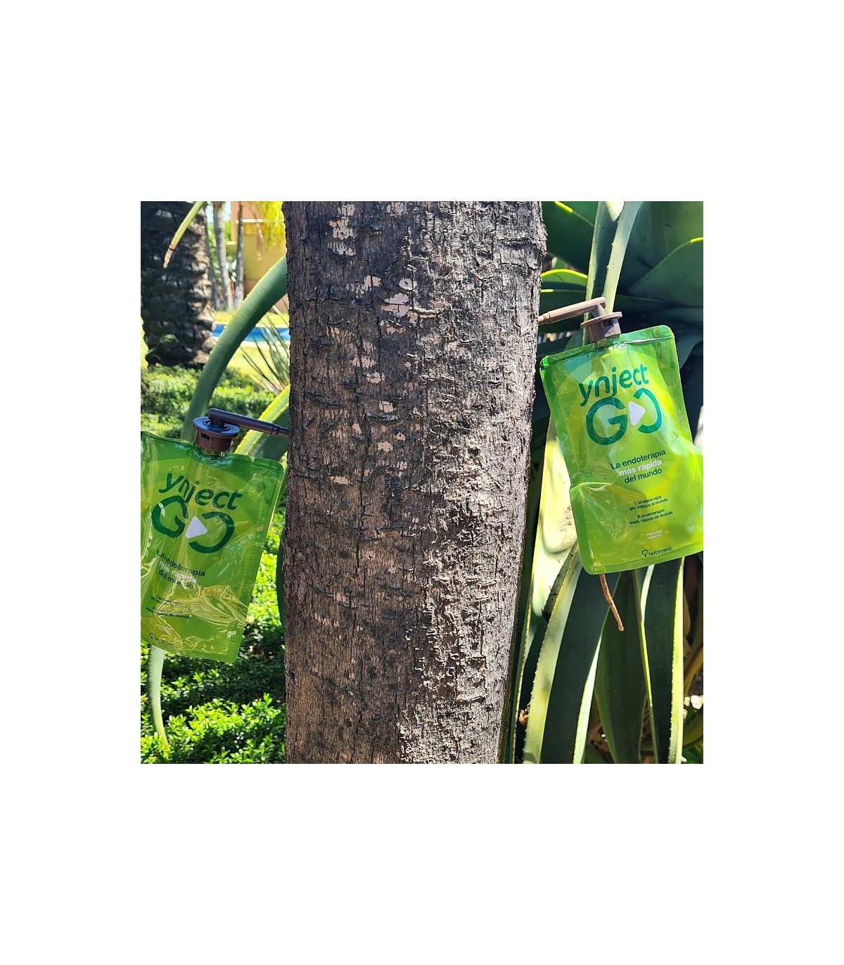 YNJECT GO árboles 45 ml Fertinyect
