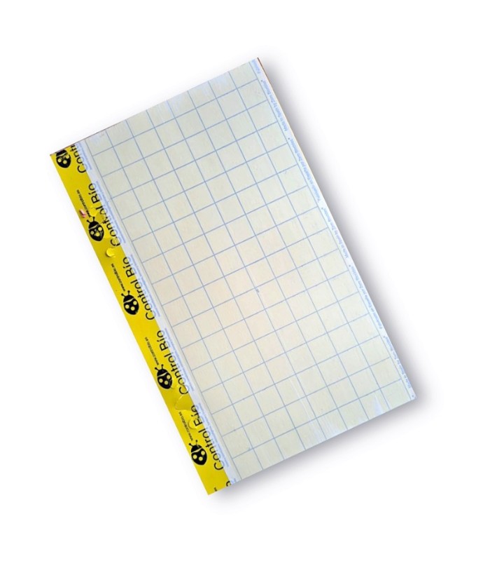 Placa amarilla individual 40 x 25 cm