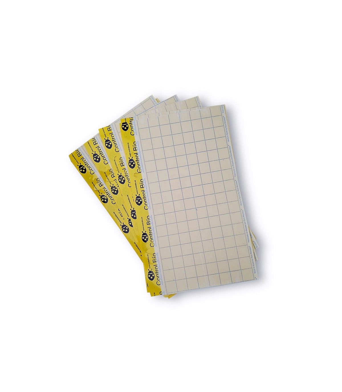 Placa amarilla individual 40 x 25 cm (50 Ud)