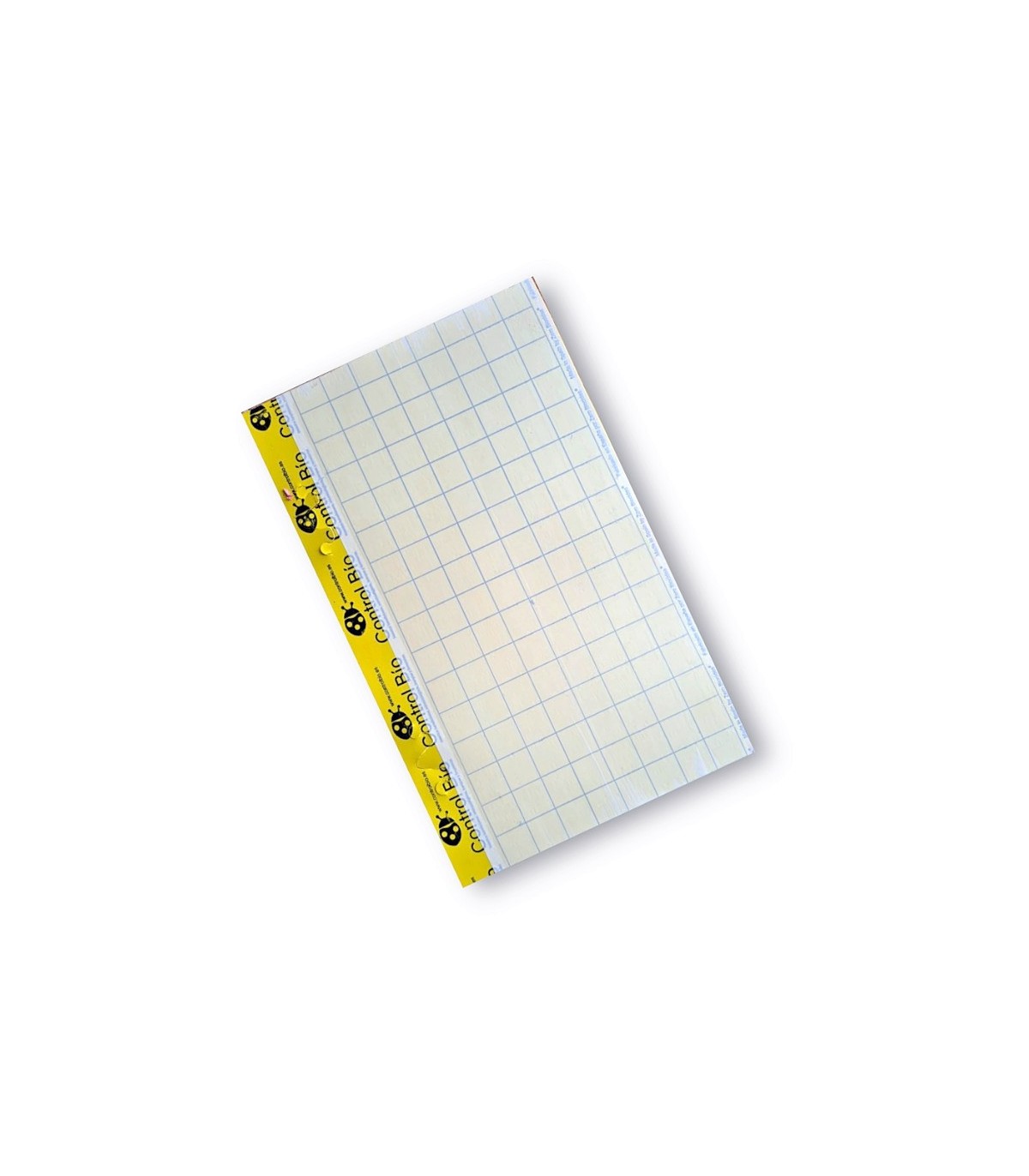 Placa amarilla individual 40 x 25 cm (50 Ud)