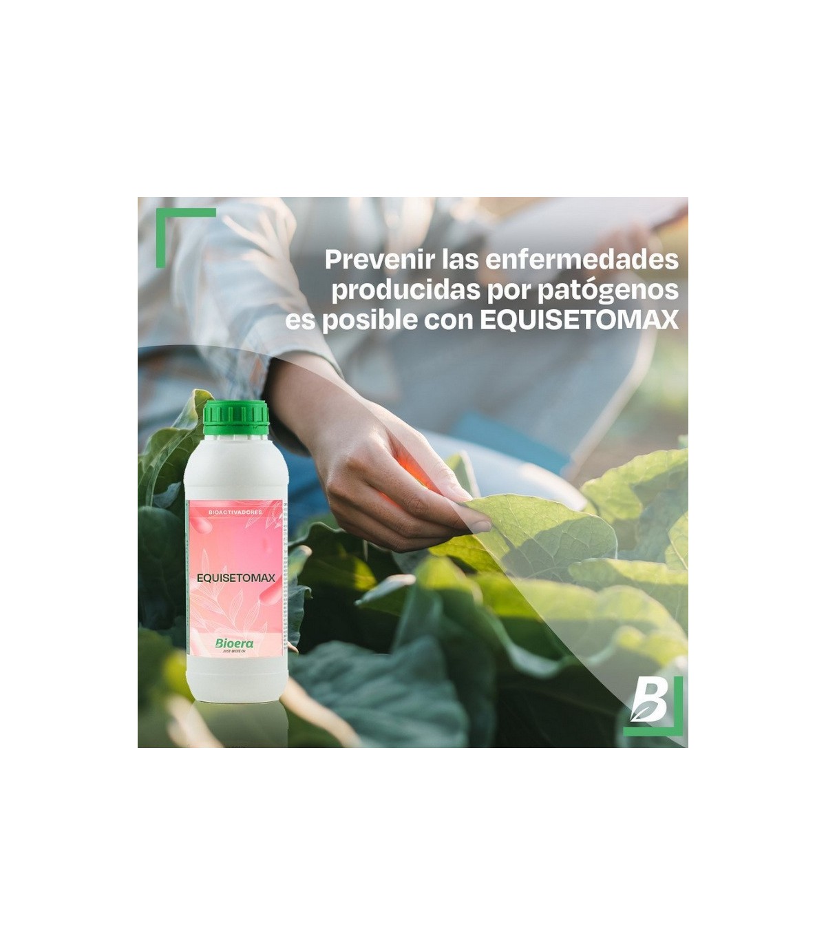 EQUISETOMAX cola de caballo 1L