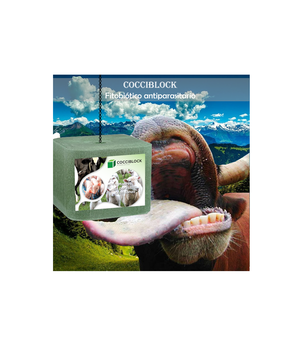 COCCIBLOCK preventivo contra protozoarios intestinales