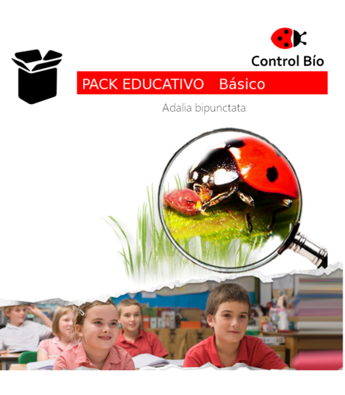 Mariquita PACK EDUCATIVO básico