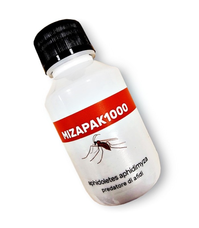MIZAPAK1000 Aphidoletes aphidimyza depredador de pulgón