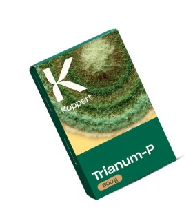 TRIANUM-P