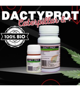 DACTYPROT 100 ml anti orugas