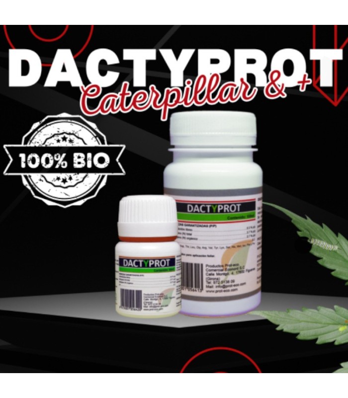DACTYPROT 100 ml anti orugas
