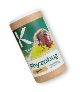 RHYZOBUG 500 contra cochinillas duras