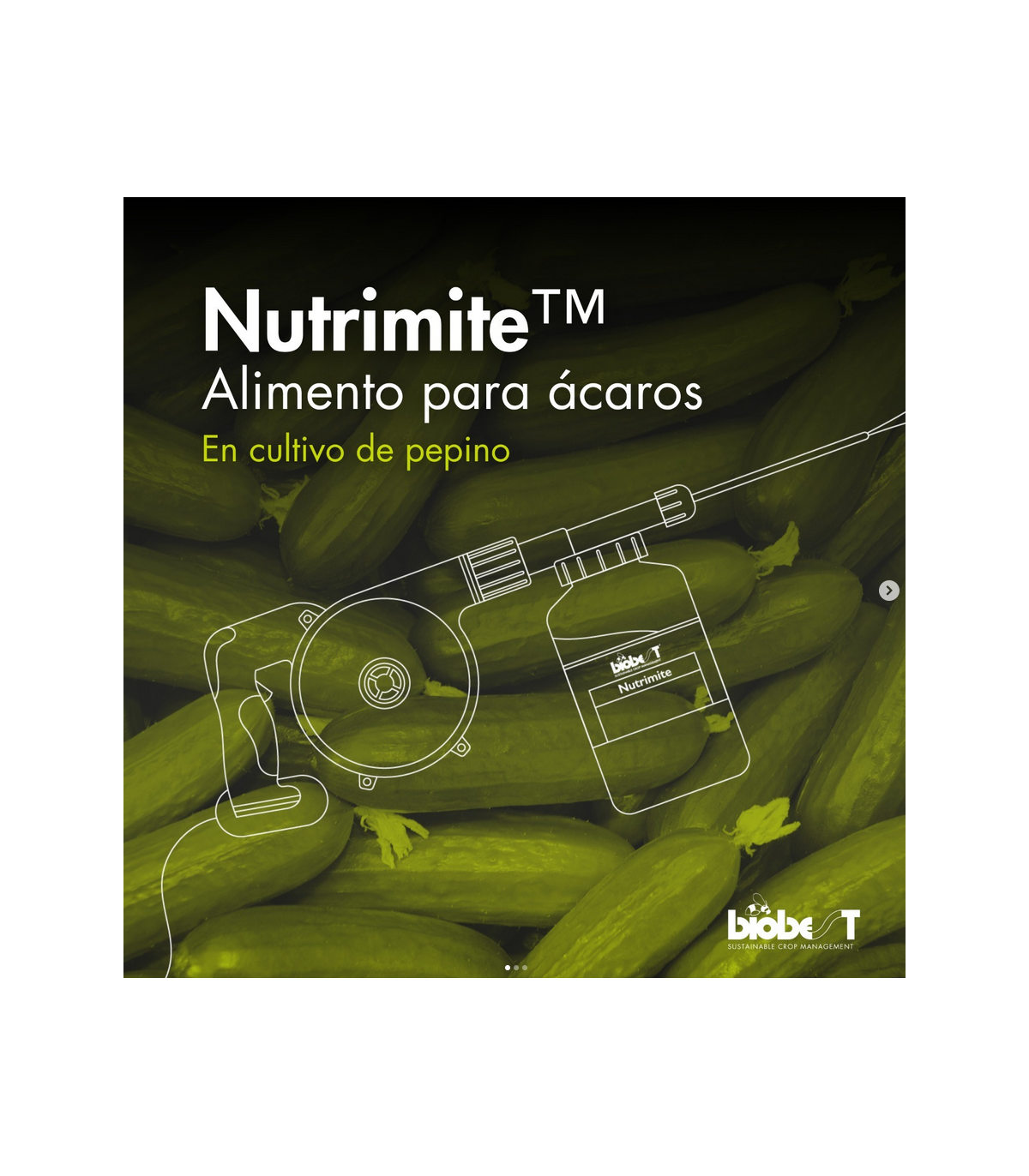 Nutrimite 500 gr suplemento alimenticio para acaros fitoseidos