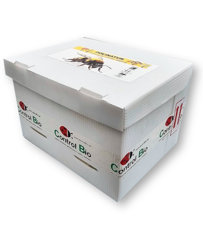POLINATUR FRUTALES colmena premium de exterior