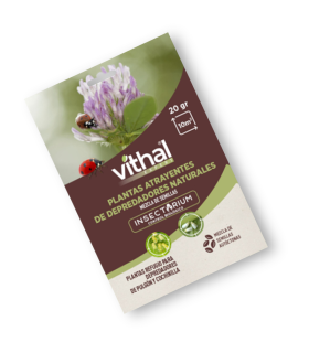 SEMILLAS DE PLANTAS ATRAYENTES DE DEPREDADORES NATURALES, mezcla de semillas Vithal insectarium