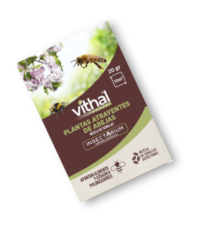 SEMILLAS DE PLANTAS ATRAYENTES DE ABEJAS POLINIZADORAS
