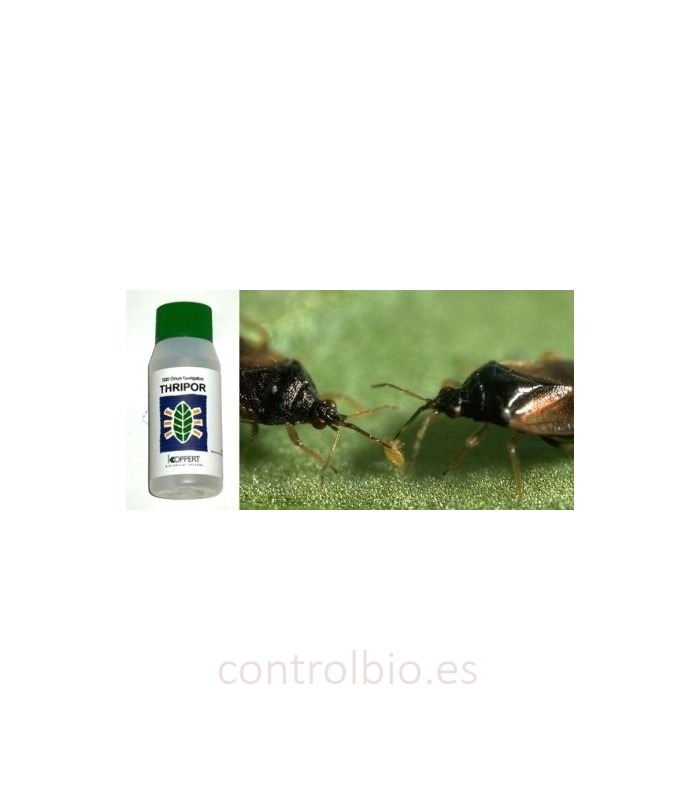 Tr¡hripor-L-500