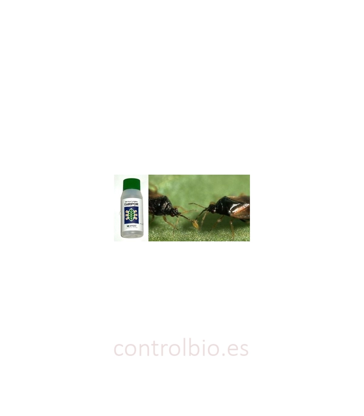 Tr¡hripor-L-500